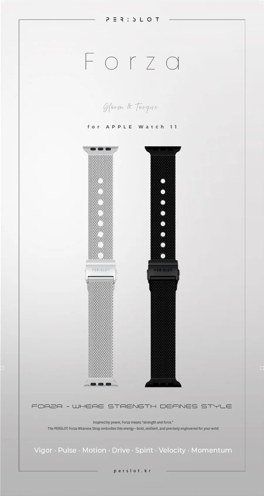 포르차 스톰 실버 · 애플워치 22mm 상세 안내 1