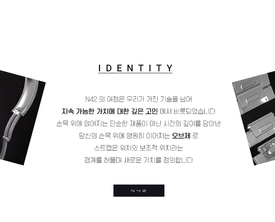 N42 링크브레이슬릿 · 애플워치 상세 안내 3