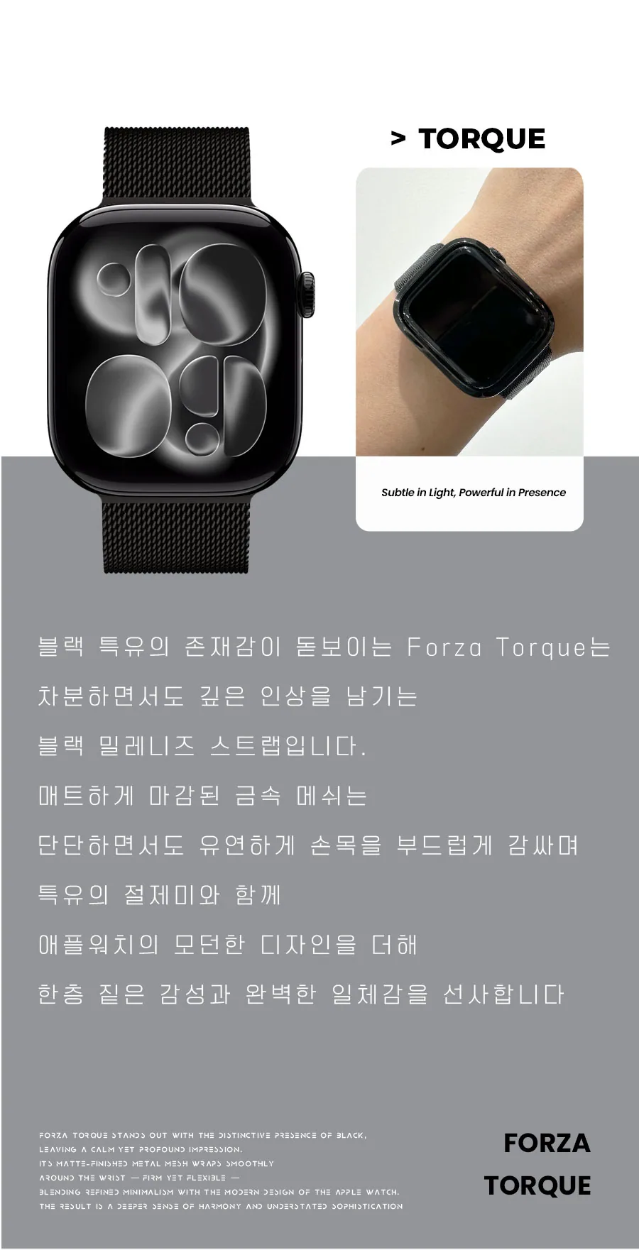 포르차 스톰 실버 · 애플워치 22mm 상세 안내 3
